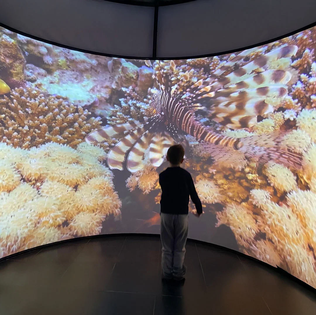 fondazione bpp progetto realtà immersiva ASD - amici di nico