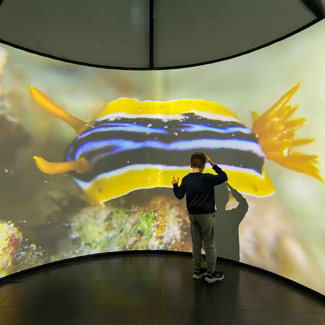 fondazione bpp progetto realtà immersiva ASD - amici di nico