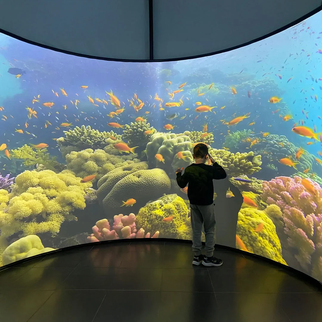 fondazione bpp progetto realtà immersiva ASD - amici di nico