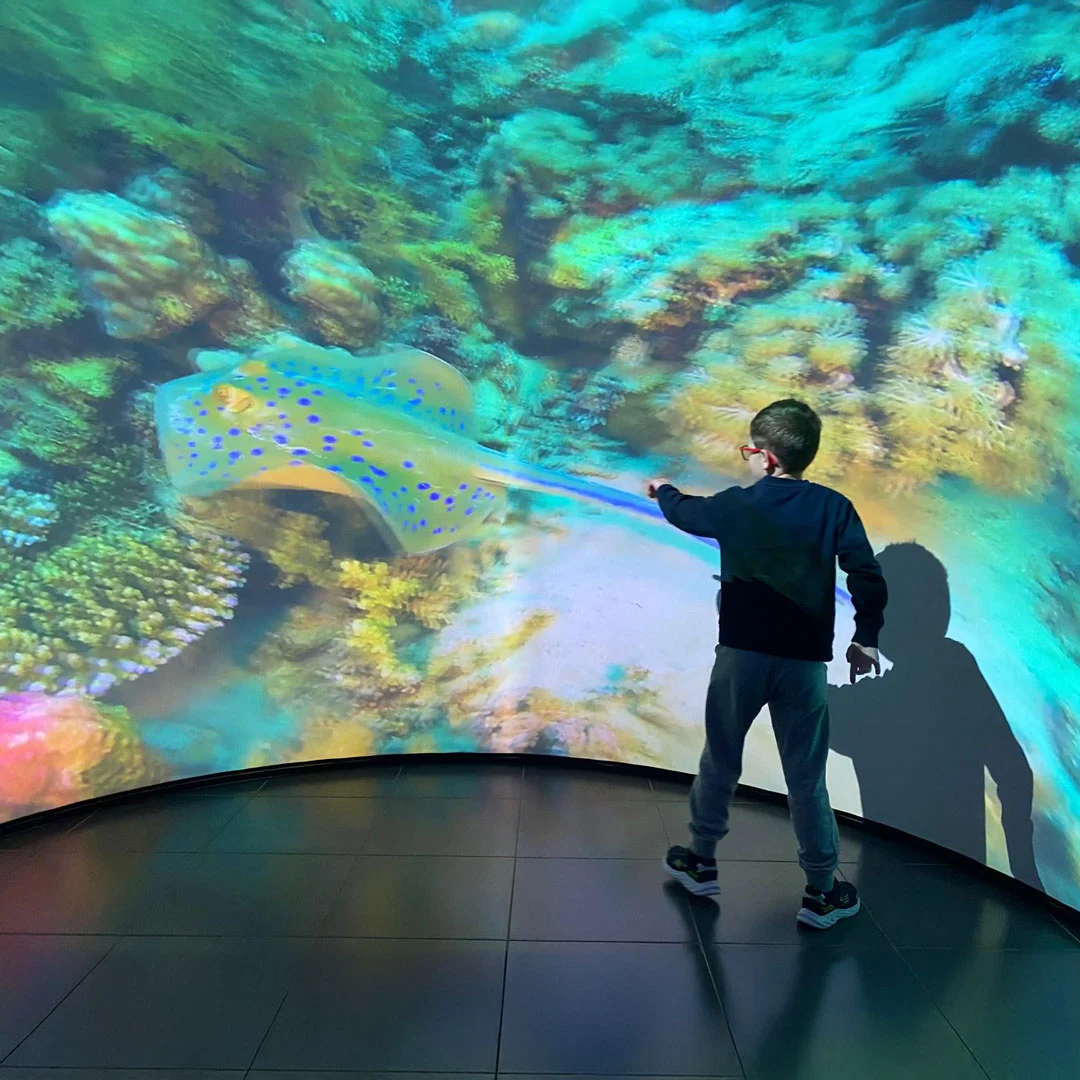 fondazione bpp progetto realtà immersiva ASD - amici di nico