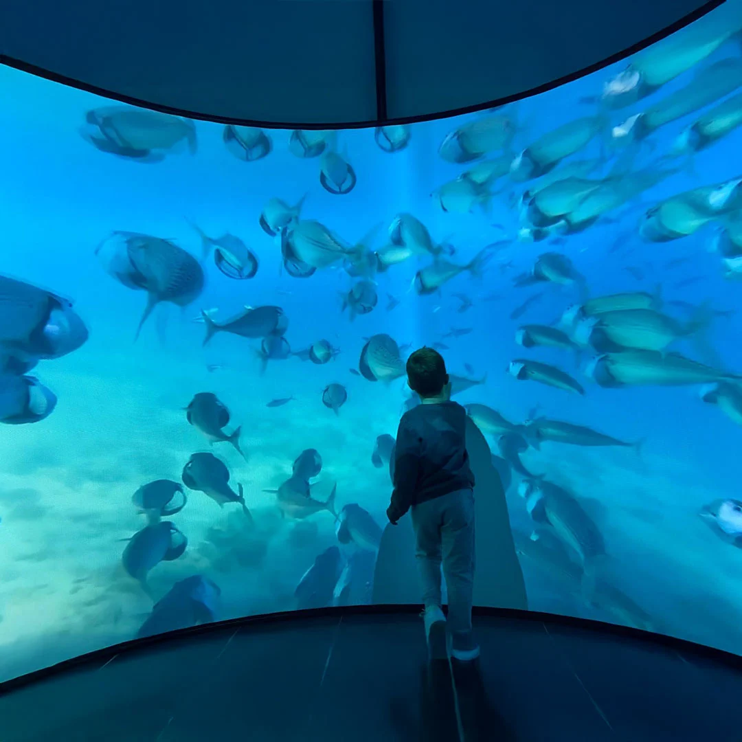 fondazione bpp progetto realtà immersiva ASD - amici di nico